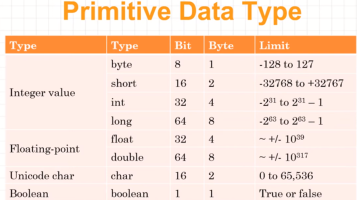 Primitive Datatype